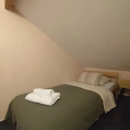 Duplex Proche Centre * Metz