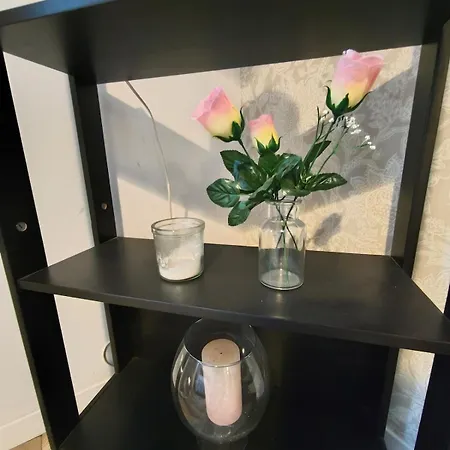 Duplex Proche Centre 公寓 梅斯