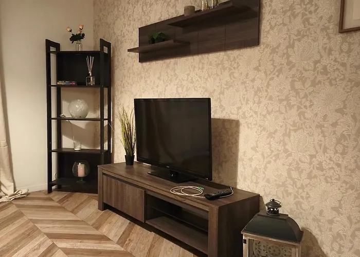 Appartement Duplex Proche Centre Metz