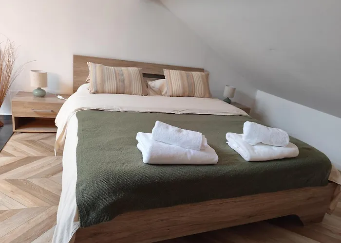 Appartement Duplex Proche Centre Metz